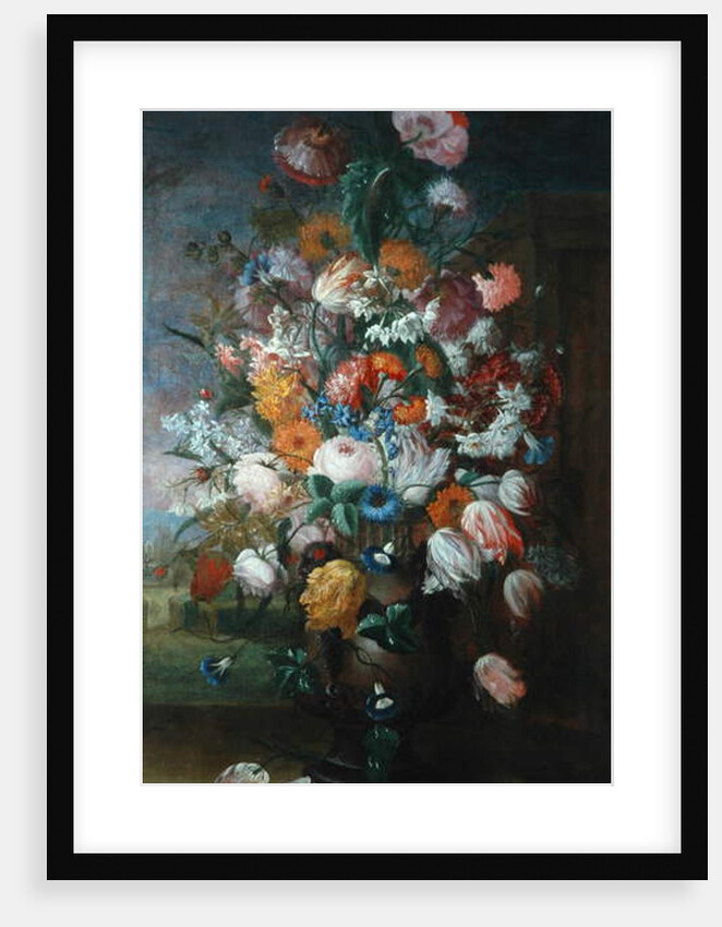 Flowers, Studies with Irises, 1682 by Jan van Huysum