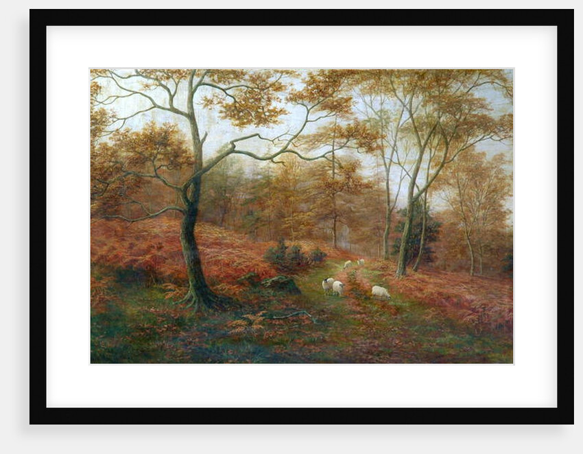 Bolton Woods, Yorkshire by William Mellor