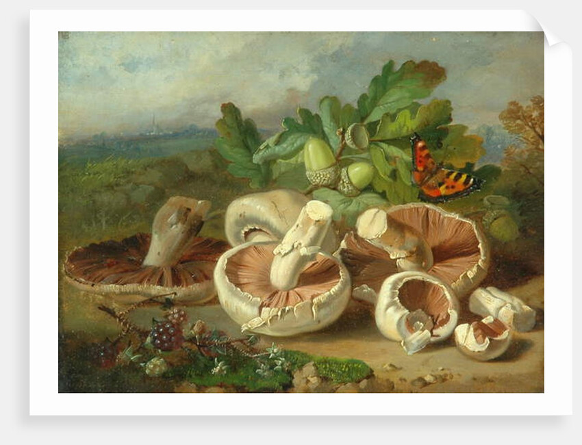 Still Life With Mushrooms Etc., 1859 by Unknown Artist