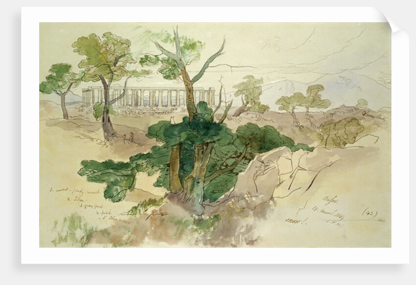 Temple at Bassae, 1849 by Edward Lear