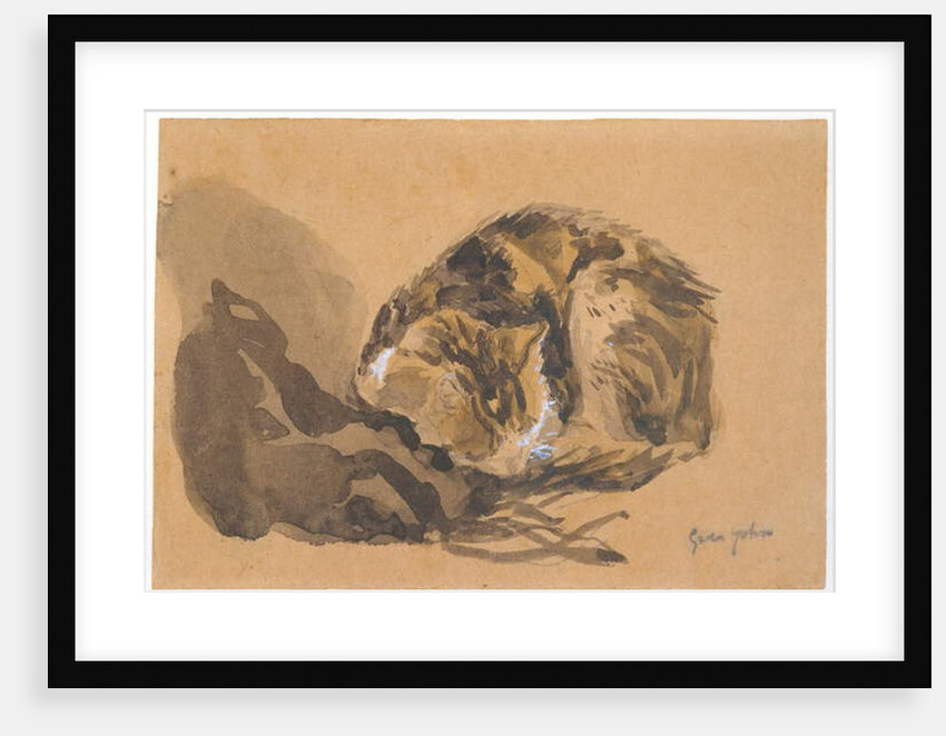 Study of a Cat, 1905-08 by Gwen John