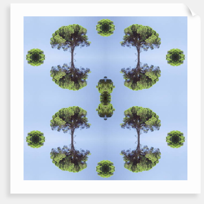 Unnatural 118 by Giovanni Cafagna