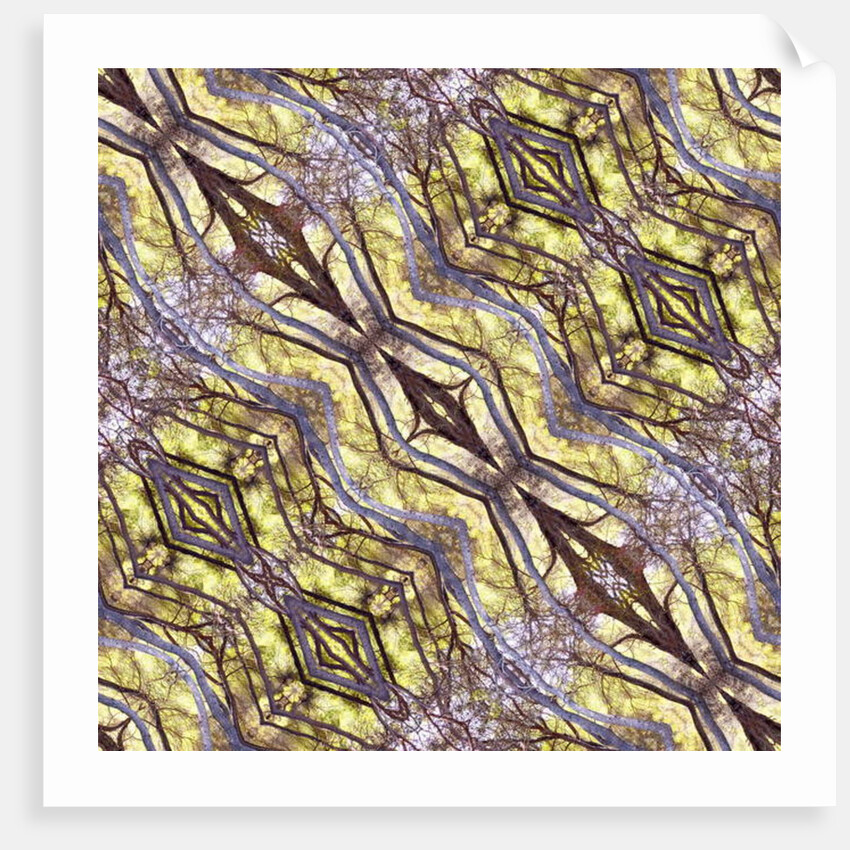 Unnatural 120.1 by Giovanni Cafagna