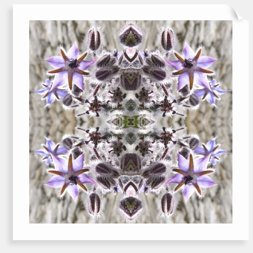 Unnatural 159 by Giovanni Cafagna