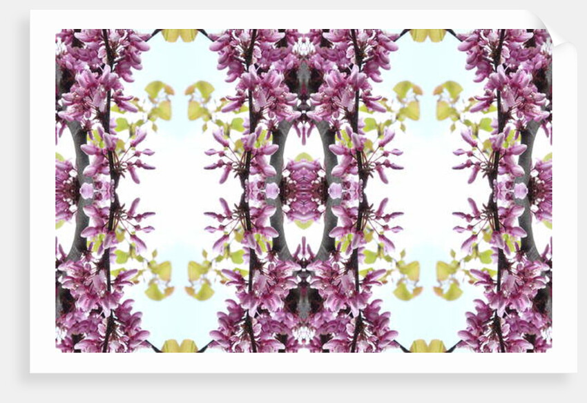 Unnatural 160.3 by Giovanni Cafagna