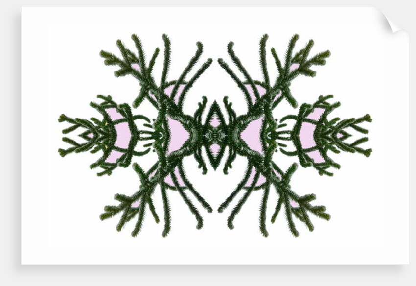 Unnatural 168 by Giovanni Cafagna