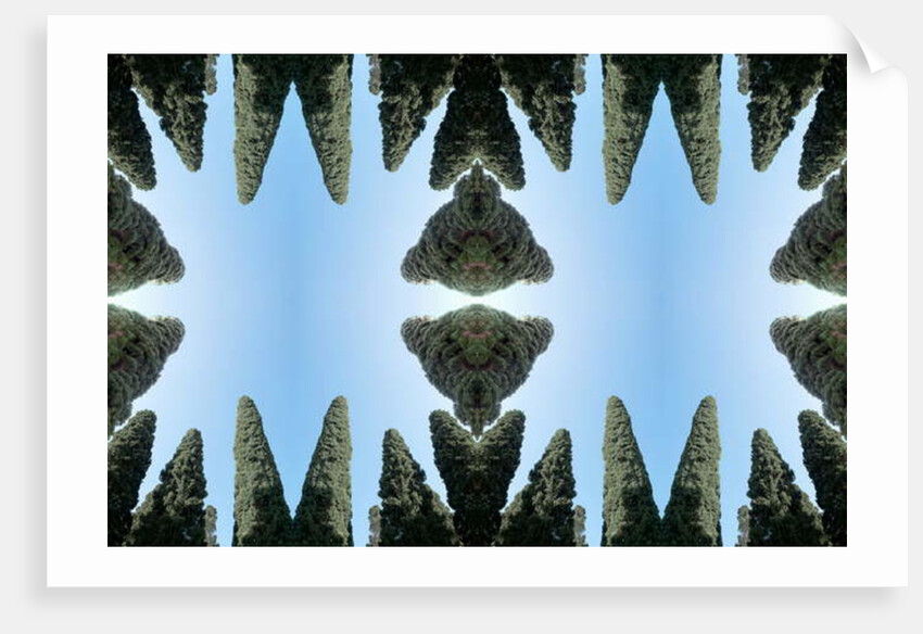 Unnatural 169 by Giovanni Cafagna