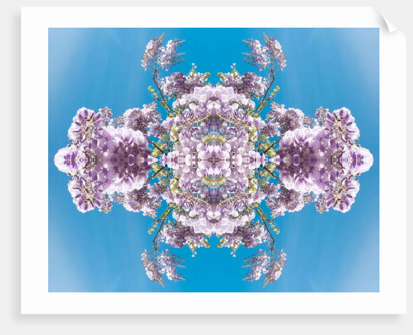 Unnatural 180 by Giovanni Cafagna