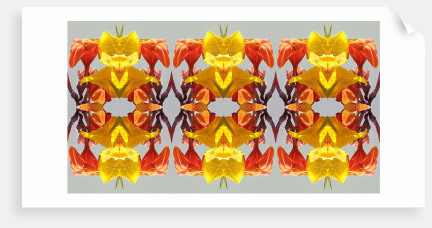 Unnatural 190 by Giovanni Cafagna