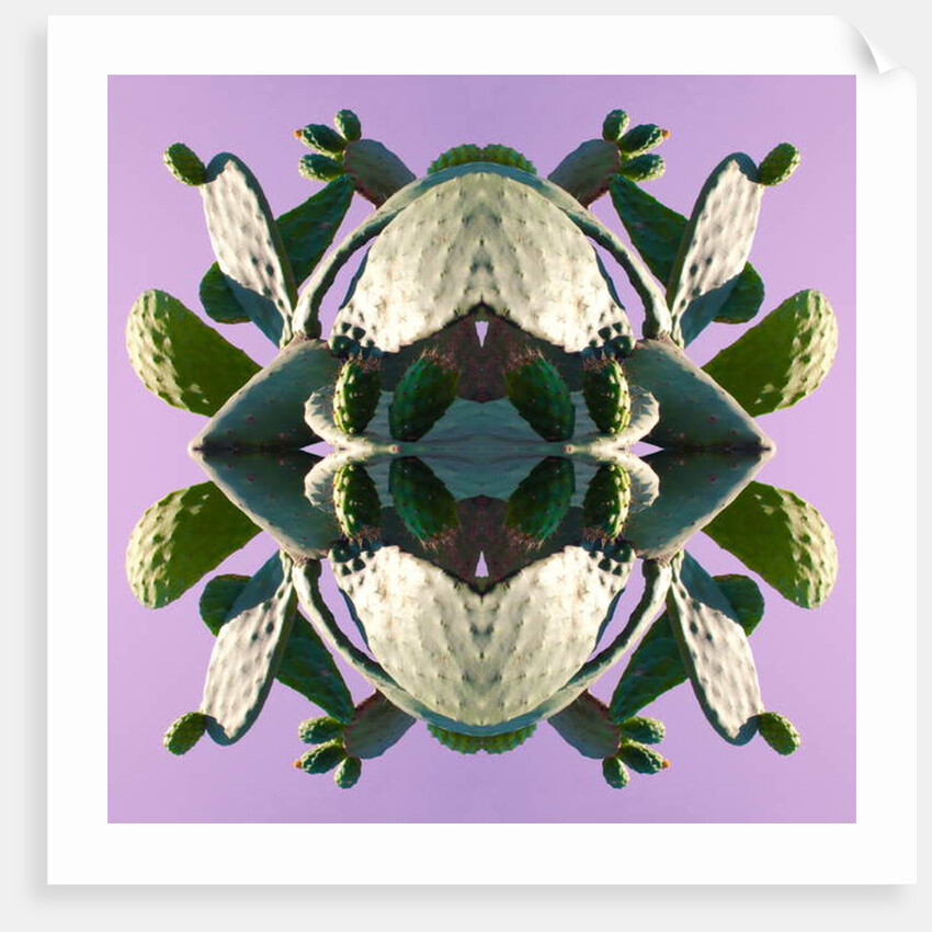 Unnatural 196 by Giovanni Cafagna