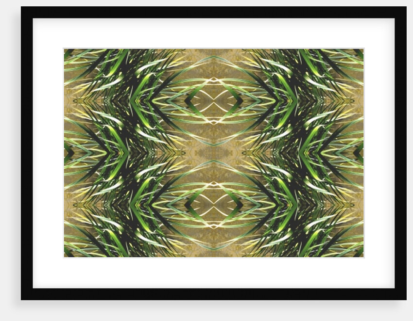 Unnatural 16 by Giovanni Cafagna