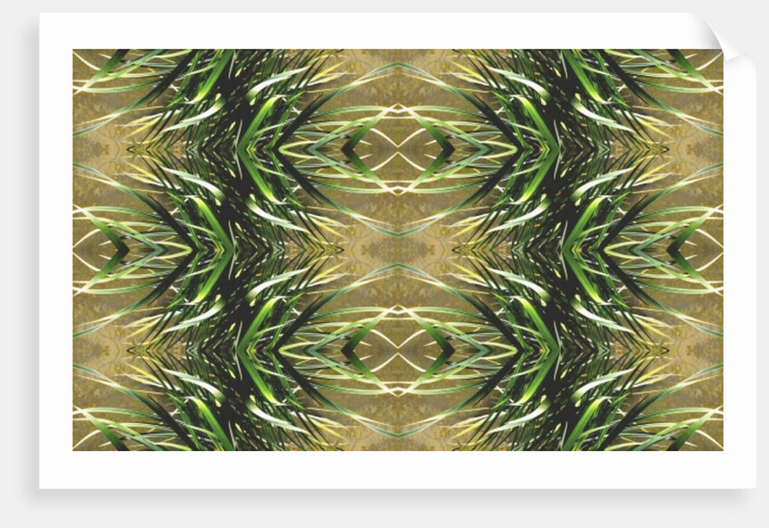 Unnatural 16 by Giovanni Cafagna