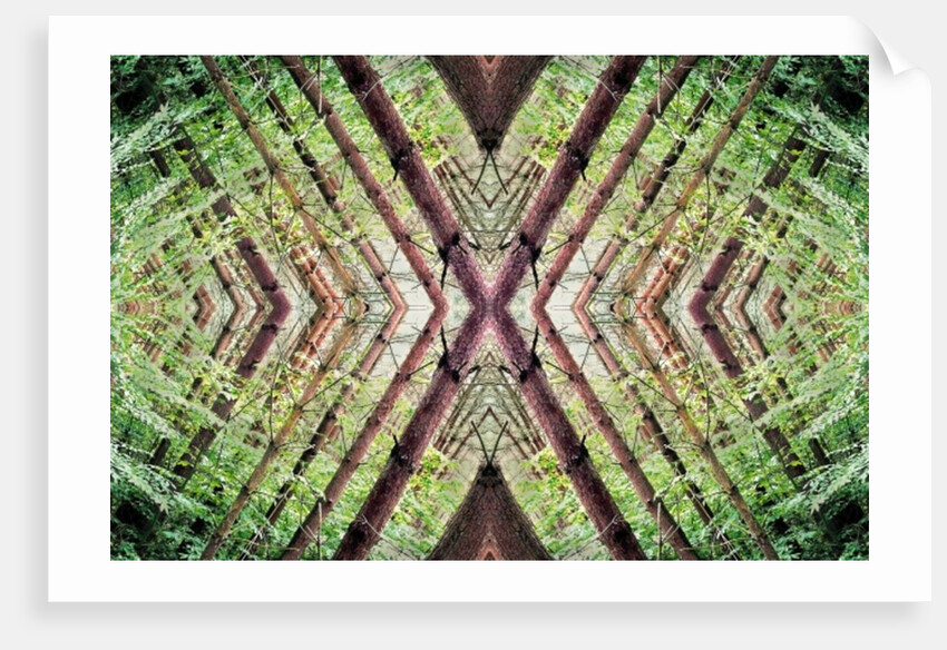 Unnatural 37 by Giovanni Cafagna