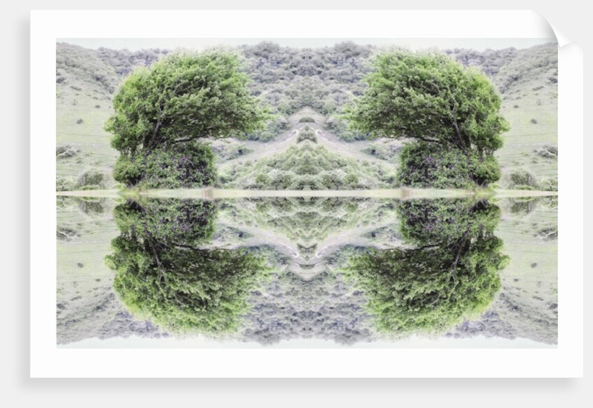 Unnatural 40 by Giovanni Cafagna