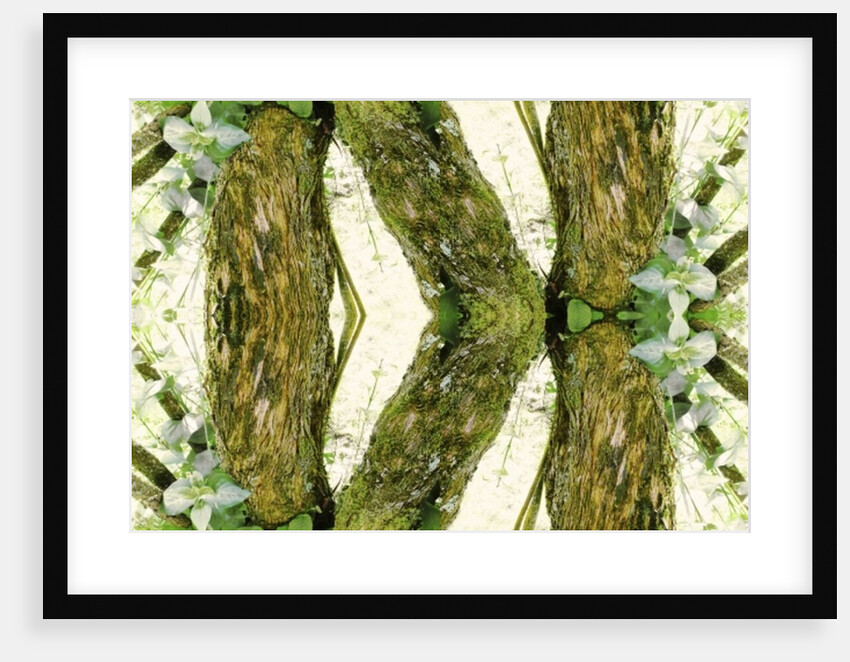 Unnatural 45 by Giovanni Cafagna