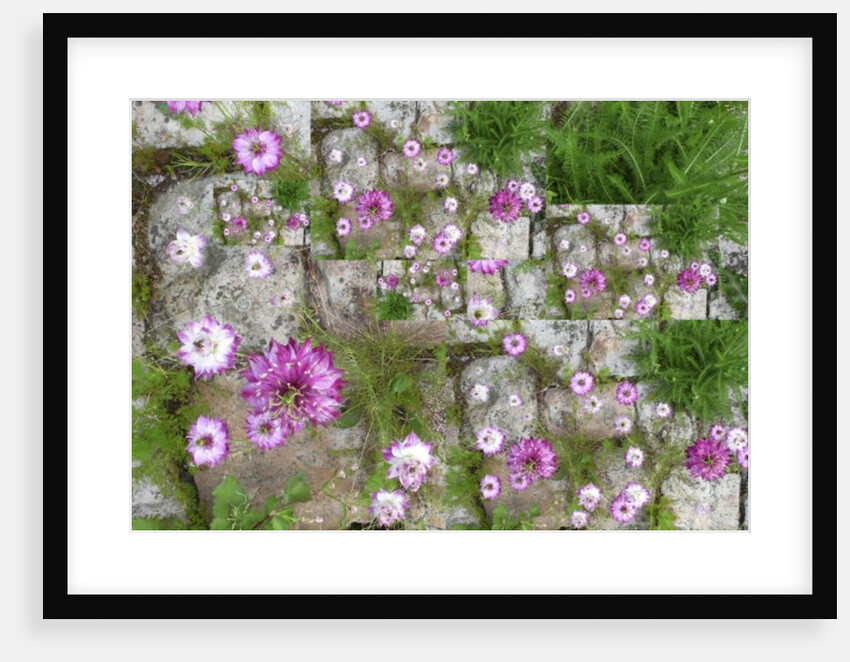 Unnatural 60 by Giovanni Cafagna