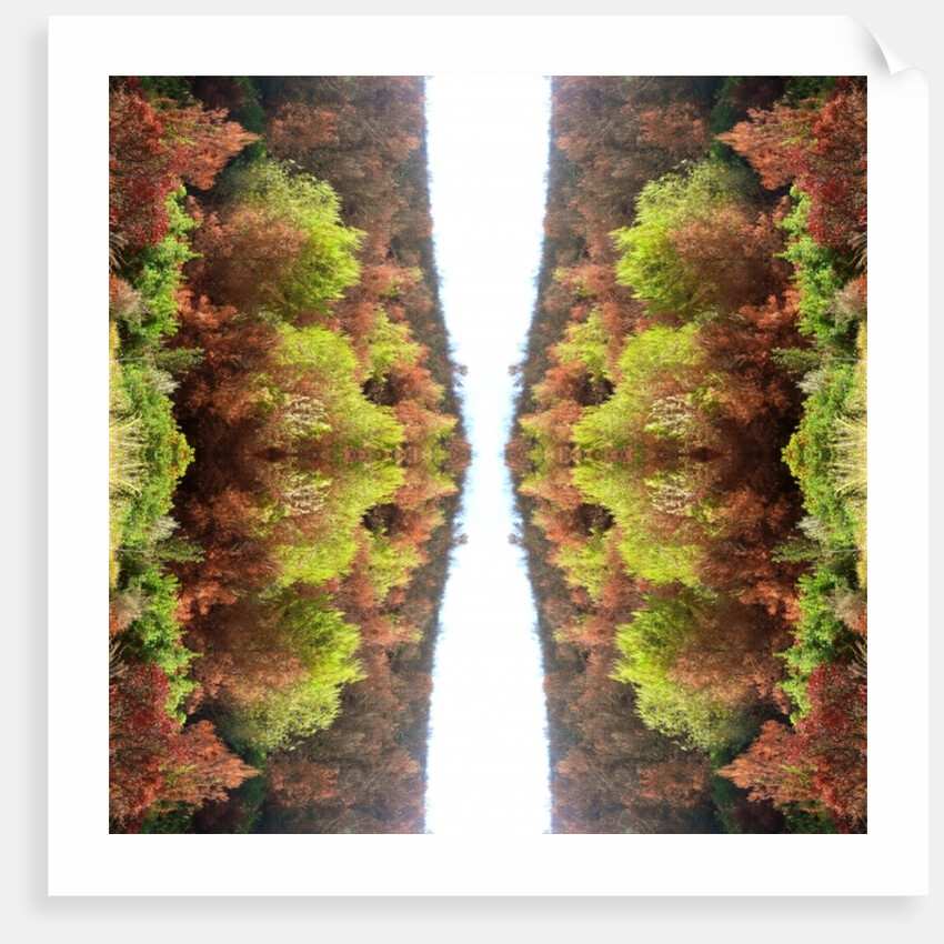 Unnatural 77 by Giovanni Cafagna