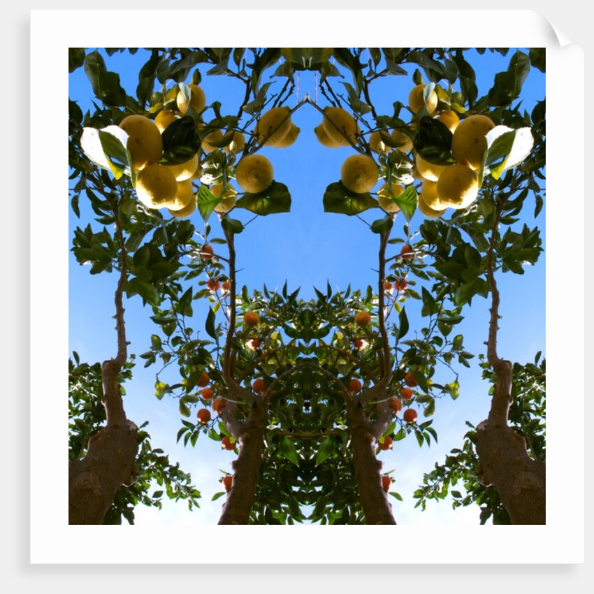 Unnatural 78 by Giovanni Cafagna