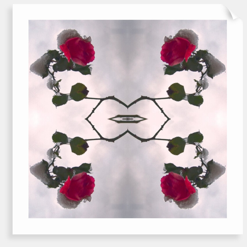 Unnatural 80 by Giovanni Cafagna