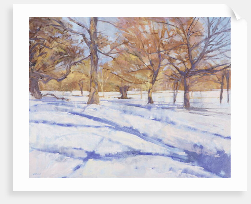Winter, Richmond Park by Christopher Glanville