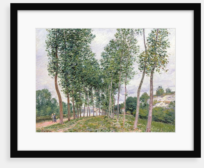The Avenue of Poplars along the Banks of the Loing, 1892 by Alfred Sisley