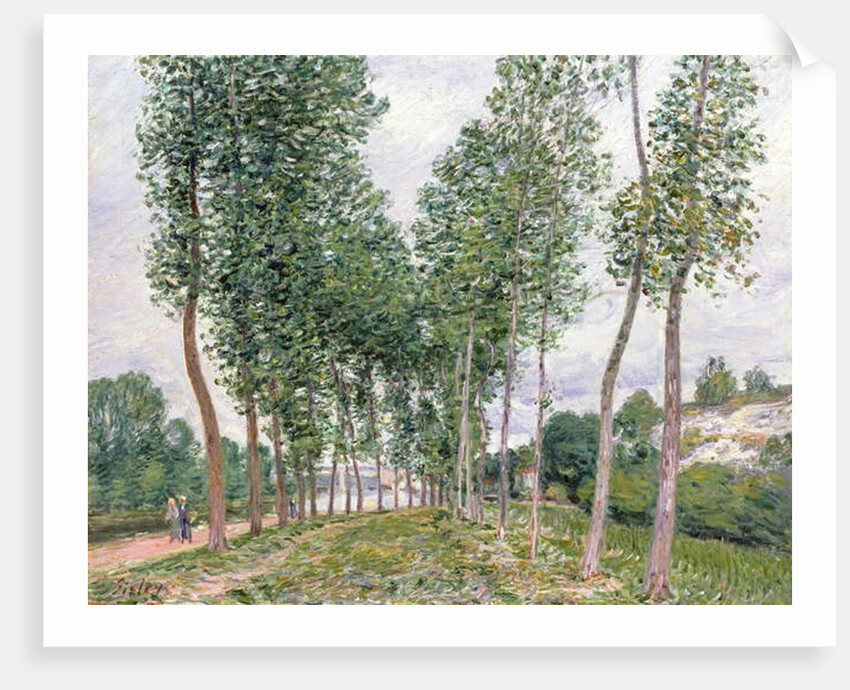The Avenue of Poplars along the Banks of the Loing, 1892 by Alfred Sisley