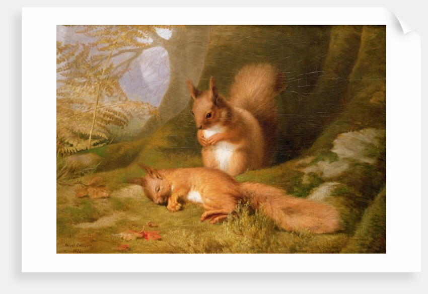 Squirrels in a Wood, 1874 by Robert Collinson