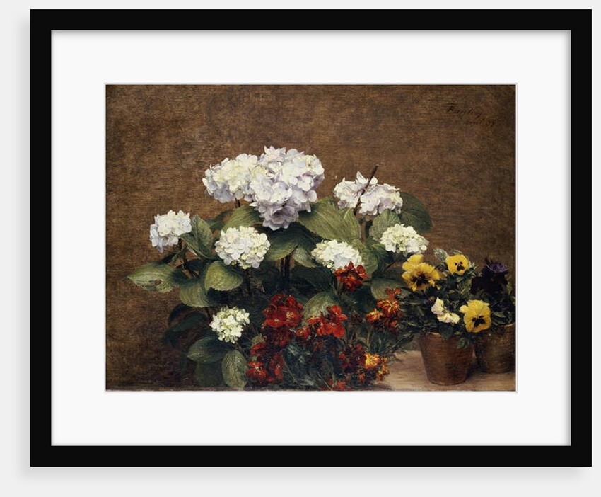 Hortensias and Stocks with Two Pots of Pansies, 1879 by Ignace Henri Jean Fantin-Latour