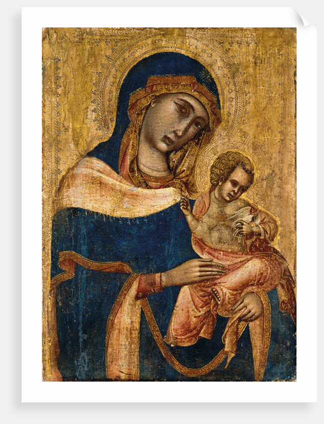 Madonna and Child, 2nd quarter of the 14th century by Master of the Sterbini Diptych