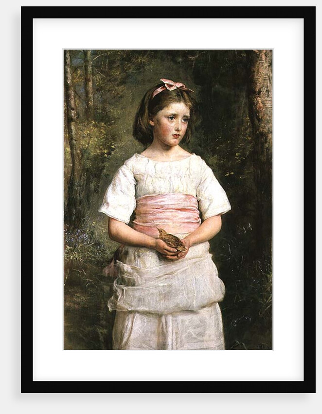 Dropped from the Nest by John Everett Millais