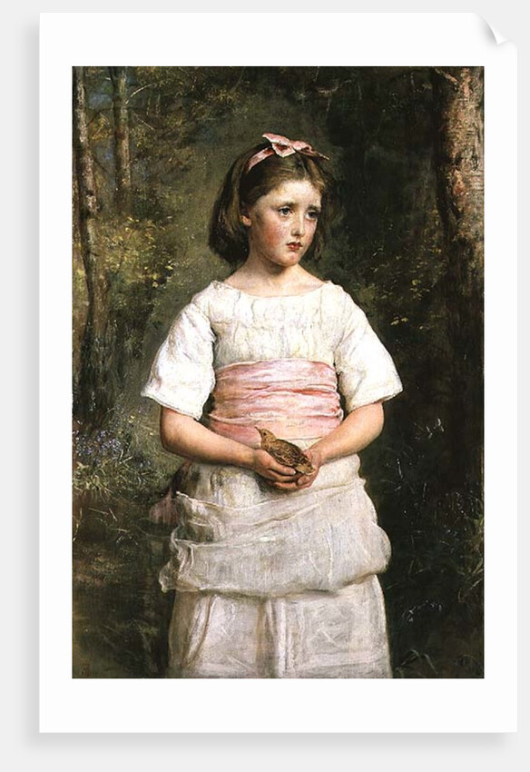 Dropped from the Nest by John Everett Millais