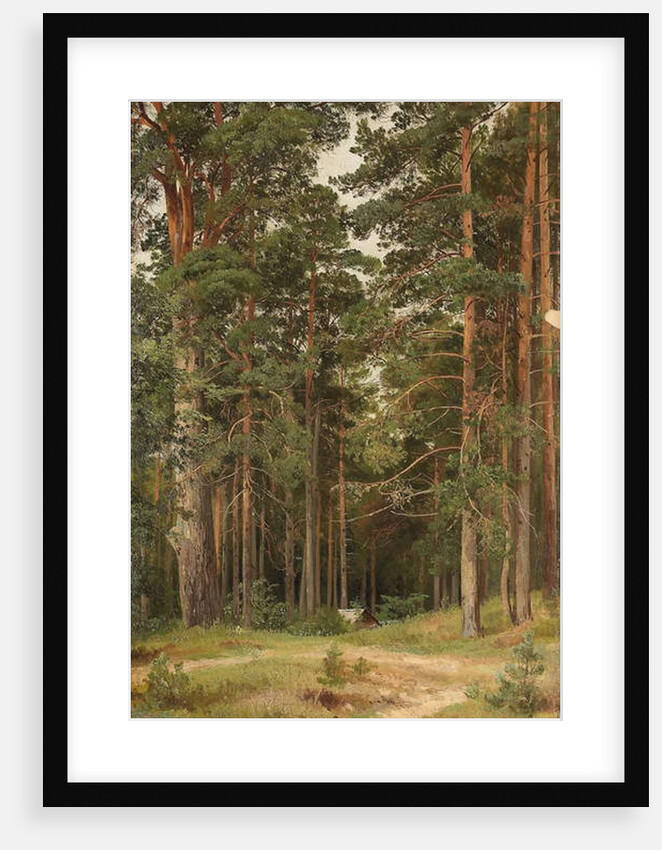 A Summer Day, Merikiul, 1895 by Ivan Ivanovich Shishkin