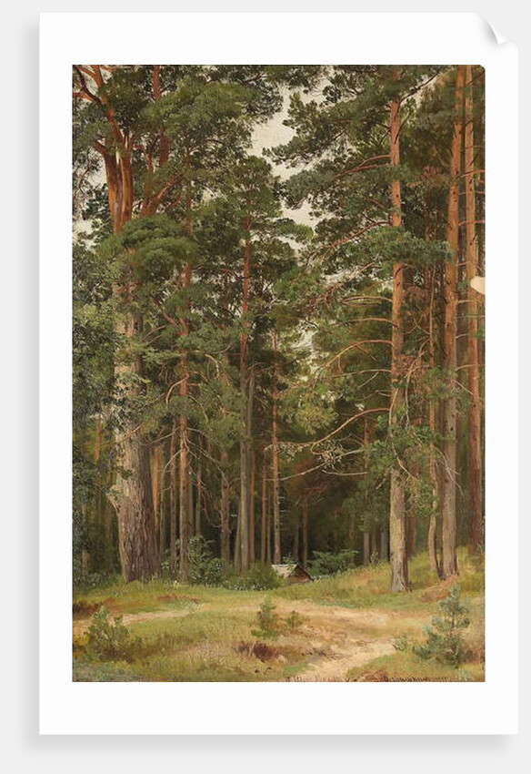 A Summer Day, Merikiul, 1895 by Ivan Ivanovich Shishkin
