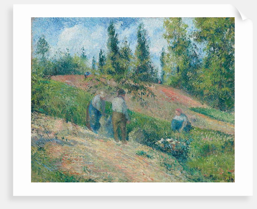 The Harvest, Pontoise, 1880 by Camille Pissarro