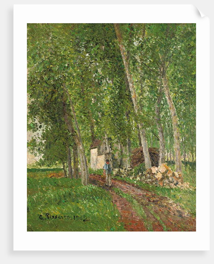 Undergrowth at Moret, 1902 by Camille Pissarro