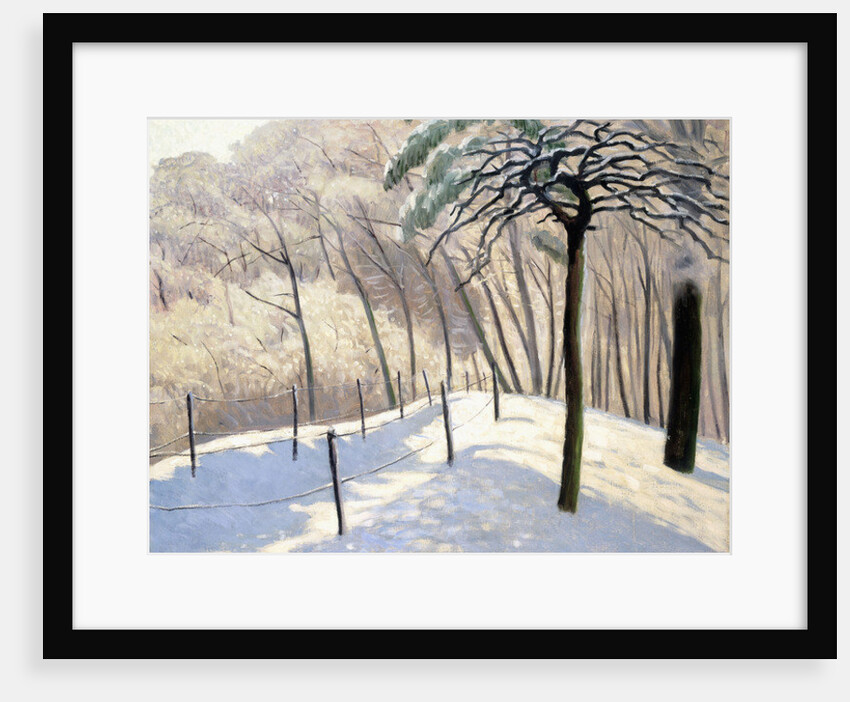 Snowy Landscape in Bois de Boulogne; Paysage de neige au Bois de Boulogne, 1905 by Felix Edouard Vallotton