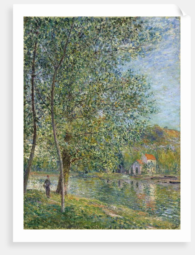 Morning Near the Loing; Matin pres du Loing, 1879 by Alfred Sisley