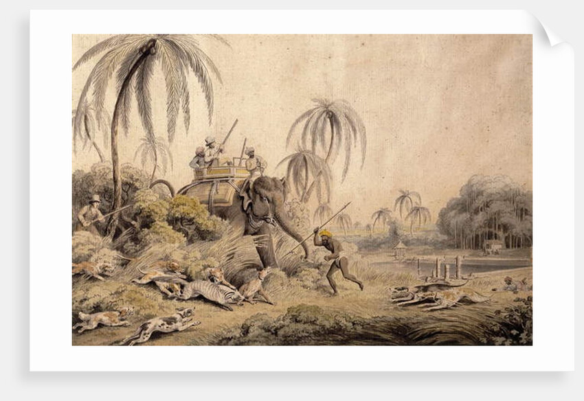 Hunting Kuttauss or Civet Cat by Samuel Howitt