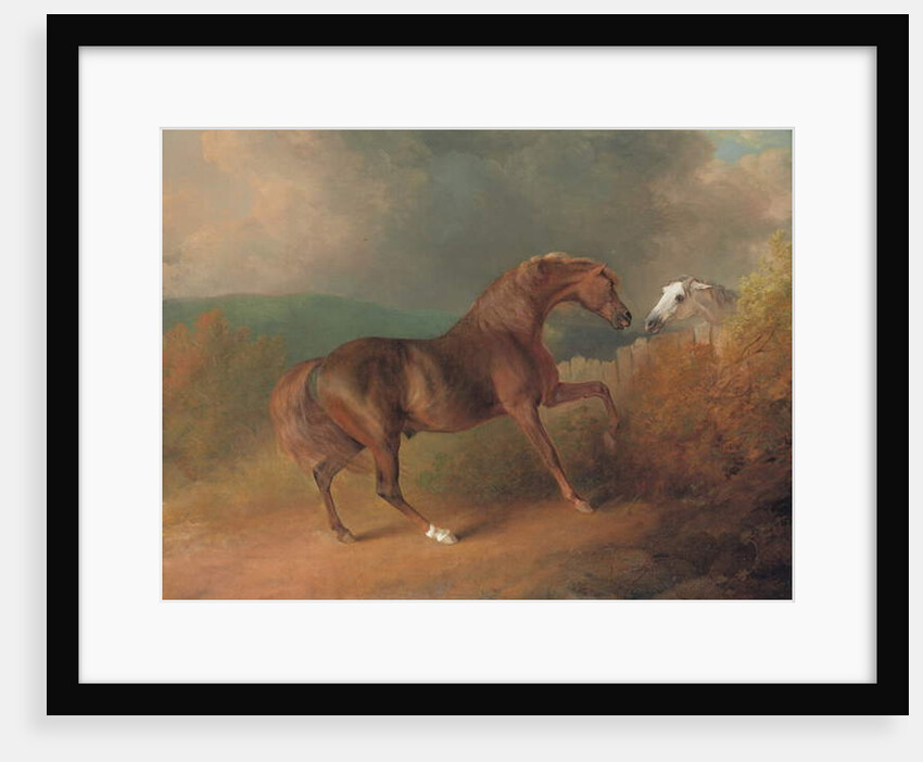Colonel Thornton's Jupiter, by Eclipse out of a Mare by Tartar, by a Fence, with a Grey Mare, at Thornville Royal, 1792 by Sawrey Gilpin