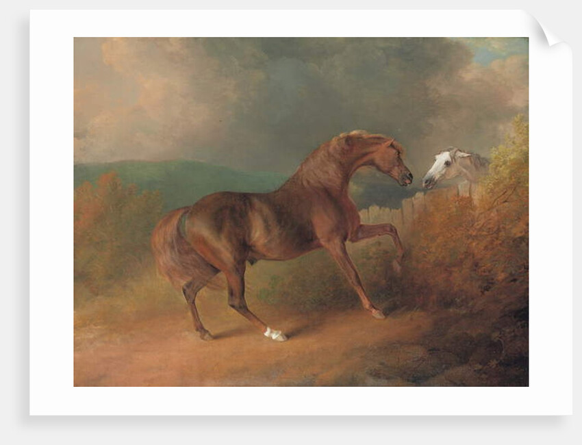 Colonel Thornton's Jupiter, by Eclipse out of a Mare by Tartar, by a Fence, with a Grey Mare, at Thornville Royal, 1792 by Sawrey Gilpin