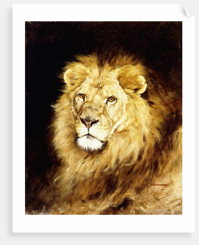 The Head of a Lion, by Geza Vastagh