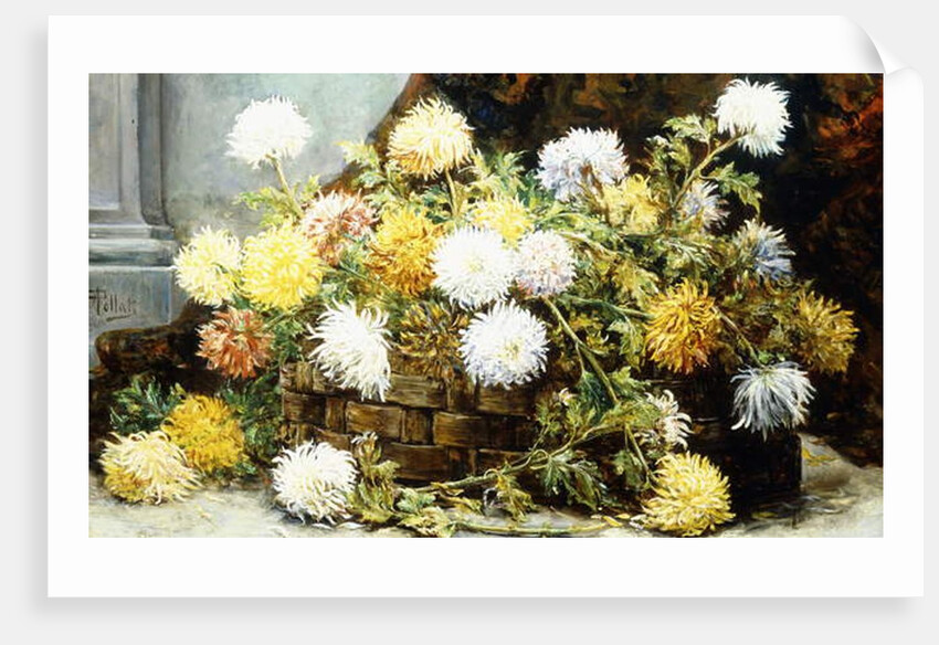 Chrysanthemums in a Basket, 19th century by August Pollak