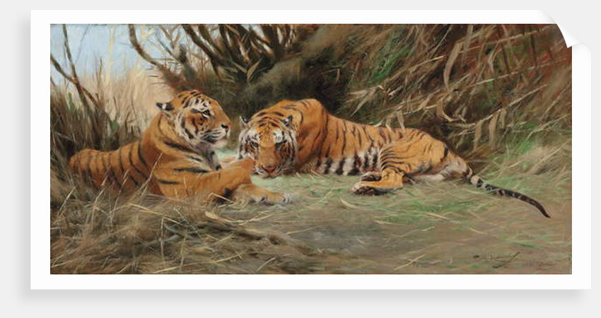 Tigers at Dawn, 1913 by Wilhelm Kuhnert