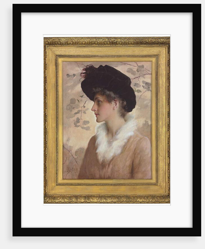 Portrait of a Lady by George Henry Boughton
