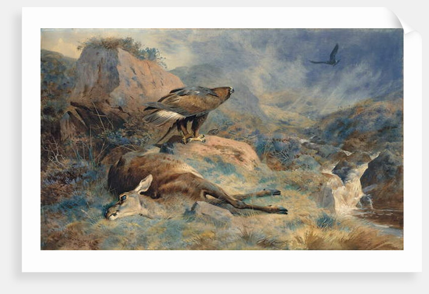 The Lost Hind, 1894 by Archibald Thorburn