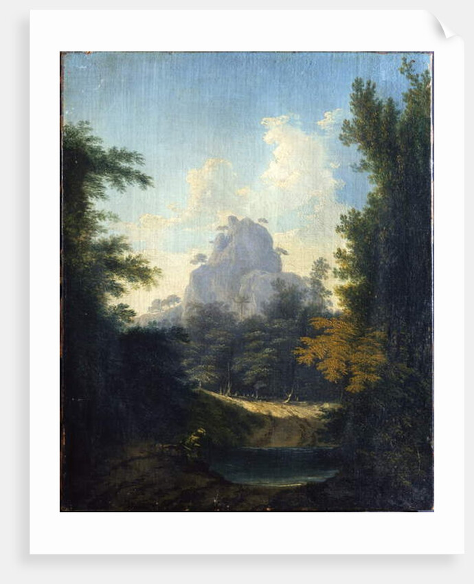 View in the Jungle Terry, in Bengal by William Hodges