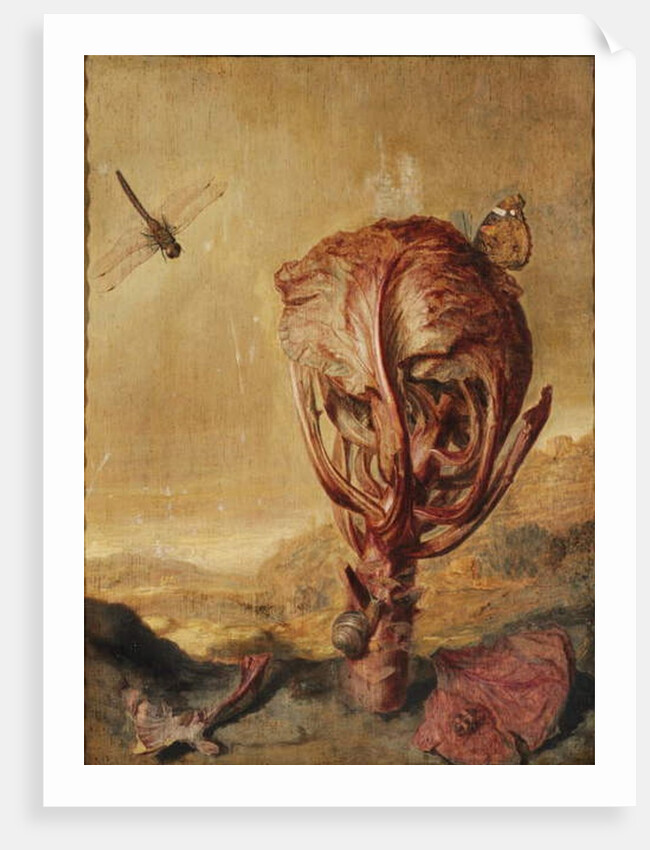 A red cabbage, a snail, a butterfly, a dragonfly, a bee and a wood louse in a landscape by Margarethe de Heer