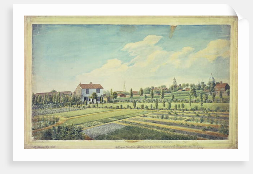 William Curtis's Botanic Gardens, Lambeth Marsh, c.1787 by James Sowerby