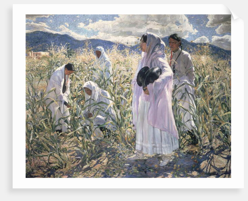 Indian corn, Taos by Walter Ufer