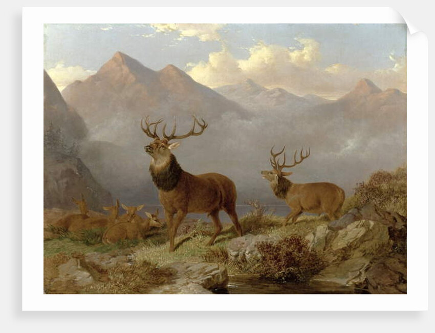 Stags And Hinds In A Highland Landscape, 1864 by John Frederick Herring Jnr